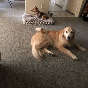 Meet your Posher, Kali